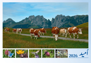 Calendrier mensuel „Espoir“ Allemand - Ourdou 2026